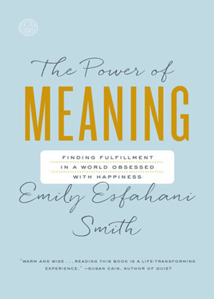 Cover of The Power of Meaning