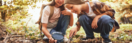 Unplug Your Kids This Summer