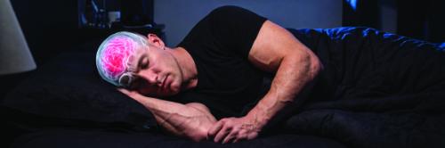 The Brain’s Nightly Reset for Readiness